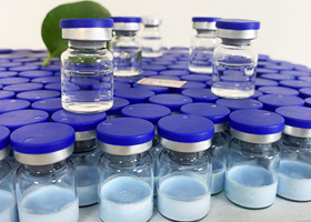 What is freeze-dried powder? How to find the right freeze-dried powder processing manufacturers?